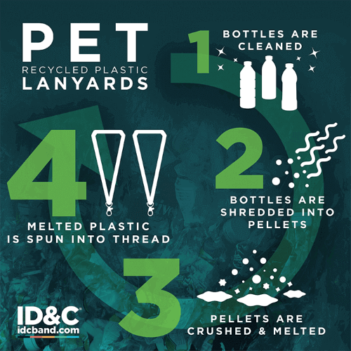 PET Infographic